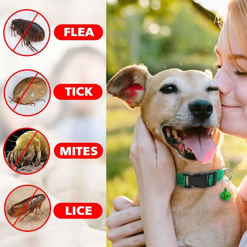 Nylon Adjustable Kill Insect Mosquitoes Insecticidal Dog Collar Neck Strap Pet Suppies Anti Flea Mite Tick